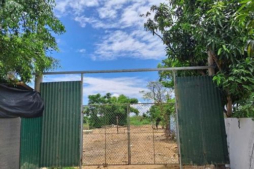 Xử lý bãi tập kết hàng nghìn đầu trâu, bò bốc mùi hôi thối giữa thành phố
