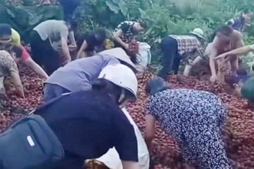 Vụ hàng chục người nhặt vải ven đường sau tai nạn có kết thúc đầy tình người