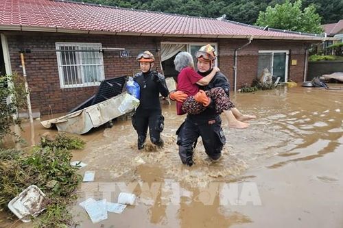 Nông nghiệp Hàn Quốc: Từ 'sự cố táo vàng' đến chiến lược sống còn