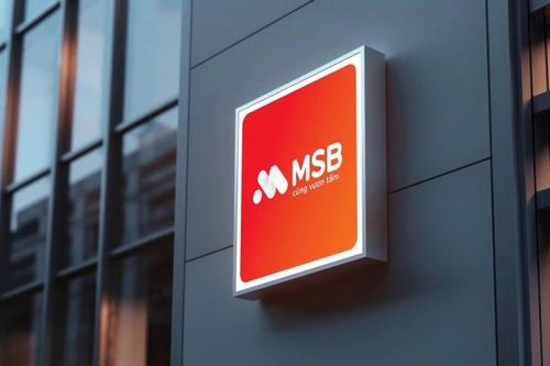 MSB dự kiến trả cổ tức bằng cổ phiếu tỷ lệ 20%