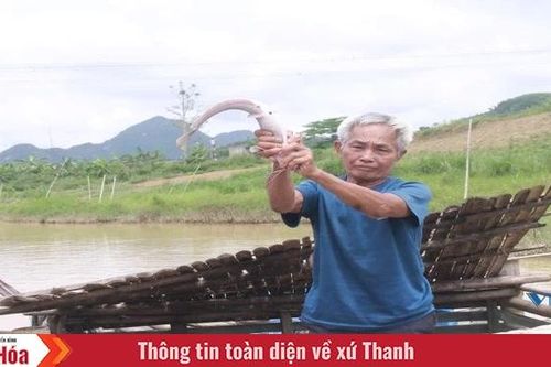 Lặng lẽ Thủy Long