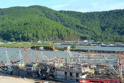 Tháo gỡ 'điểm nghẽn' tại Cảng cá Hòa Lộc và khu neo đậu tránh trú bão cho tàu thuyền nghề cá Lạch Trường