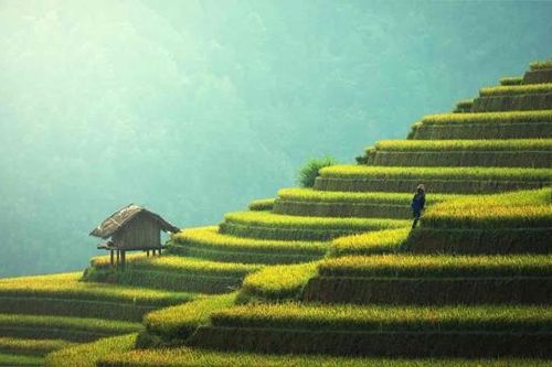 Đón gần 11 triệu lượt khách quốc tế, du lịch Việt có động lực để bứt phá