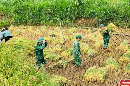 Bộ đội Biên phòng '3 bám, 4 cùng' với nhân dân vùng biên giới