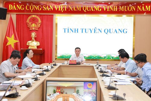 Chính phủ họp trực tuyến với các địa phương về giao chủ quản đầu tư các tuyến đường bộ cao tốc
