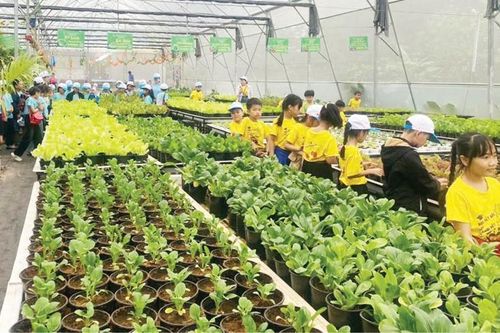 Hướng tới nền nông nghiệp đô thị