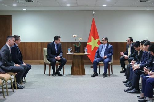 Các doanh nghiệp Brazil muốn hợp tác phát triển nhiên liệu sinh học, trung tâm phân phối nông sản... tại Việt Nam