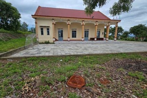 Gia Lai: Tạm dừng bổ nhiệm một cán bộ xã sau vụ bán cây xanh khuôn viên trụ sở làm củi