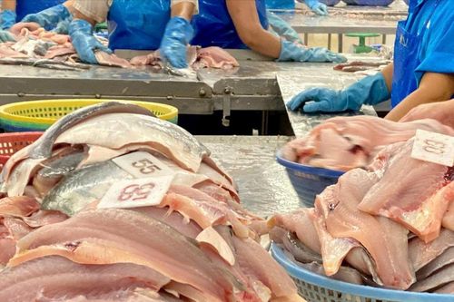 Chủ động thích ứng rào cản phi thuế quan