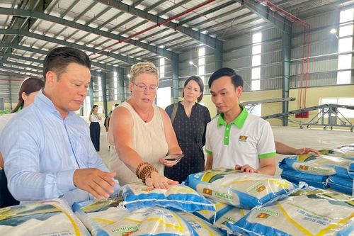 Gạo Việt chất lượng cao tiến vào thị trường khó tính
