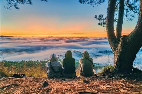 Đà Lạt được đánh giá là điểm đến mùa hè 2025 giá phải chăng, giàu bản sắc văn hóa nhất châu Á