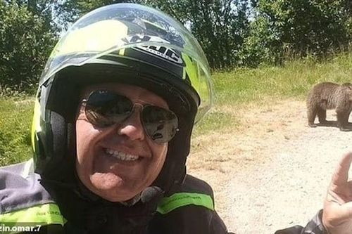 Du khách Italy bị gấu mẹ tấn công tử vong sau khi selfie với gấu con ở Romania