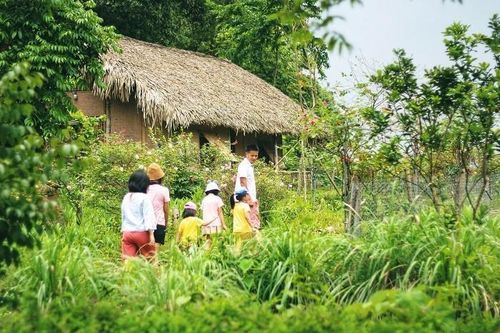 MC Minh Trang gây tranh cãi vì khuyên cha mẹ 'nghiên cứu kỹ khi đăng ký trại hè'