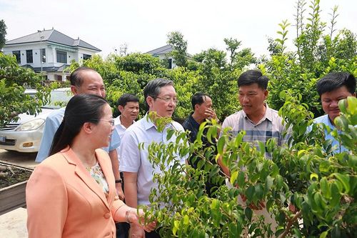 Xây dựng các chi hội nông dân gắn với thế mạnh từng địa phương