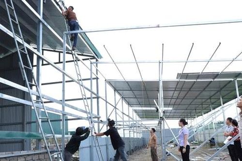 Xã Hồng Vân ngăn chặn 30 trường hợp vi phạm đất đai, trật tự xây dựng