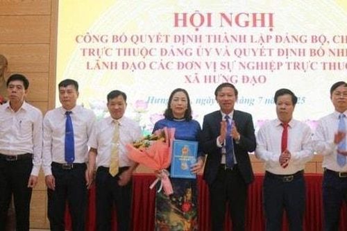 Xã Hưng Đạo thành lập các chi, Đảng bộ trực thuộc