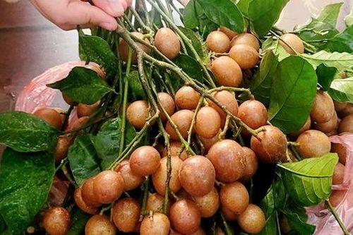 Quả quê ngon gợi nhớ tuổi thơ chỉ hè mới có vào chính vụ, giá từ 30.000 đồng/kg, giúp giải nhiệt và trị ho rất tốt