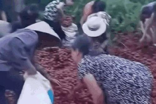Vụ 'hôi' 4 tấn vải trên xe tải bị lật ở Hà Nội: Nhiều người hỏi thăm, chuyển tiền cho tài xế