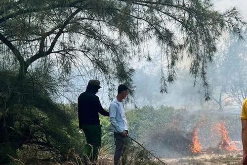 Quảng Trị: Hơn 100 người xuyên trưa chữa cháy rừng