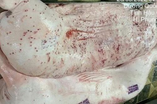 Vụ Công ty C.P Việt Nam bị tố: Làm rõ 'động cơ phát tán hình ảnh'