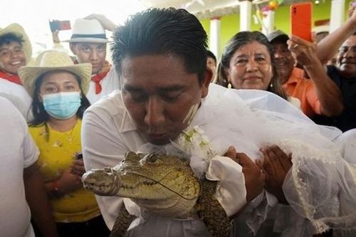 Thị trưởng thị trấn Mexico cưới cá sấu