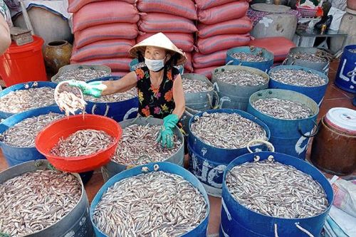 Khát vọng màu cánh gián