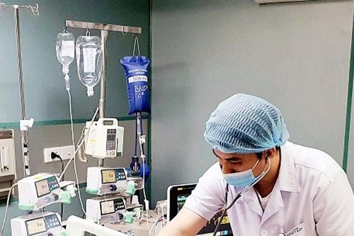 Cảnh báo ngộ độc khi tự chế biến thảo dược chứa độc tố