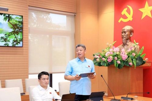 Đại biểu HĐND TP đề xuất giải pháp cho vấn đề chống hàng giả, thực phẩm bẩn