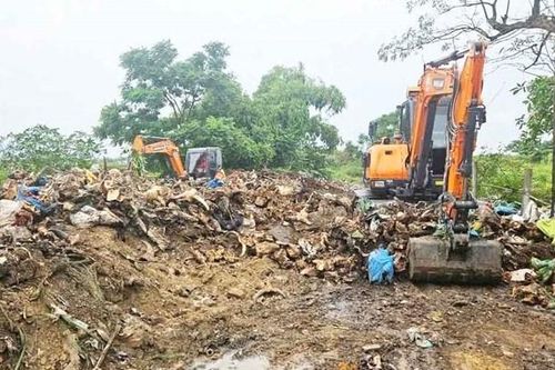 Xử lý bãi tập kết phế phẩm 'nghĩa địa' đầu bò ô nhiễm