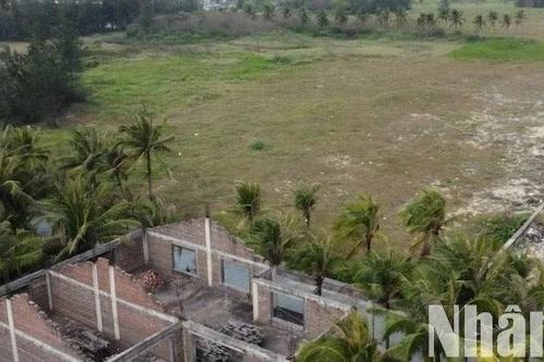 Đà Nẵng thu hồi một phần dự án nghìn tỷ ven biển để xây dựng Công viên công cộng