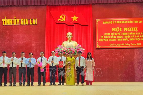 Công bố quyết định thành lập các tổ chức cơ sở đảng trực thuộc Đảng bộ UBND tỉnh Gia Lai