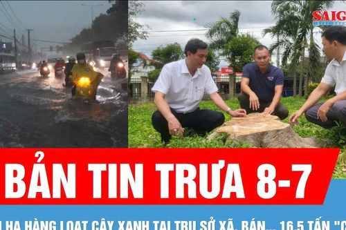 Bản tin trưa 8-7: Cảnh báo mưa dông ở Nam bộ | Đốn hạ cây xanh tại trụ sở xã, bán... 16,5 tấn 'củi'