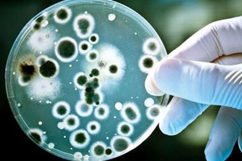 Nhiễm loại vi khuẩn kháng thuốc 'khét tiếng', nữ sinh béo phì suýt tử vong