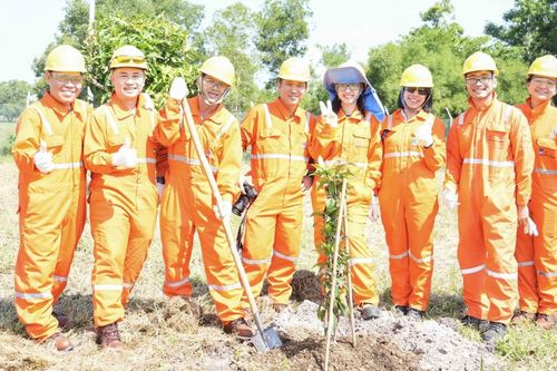 NCSP và PV GAS D chung tay phủ xanh không gian sống
