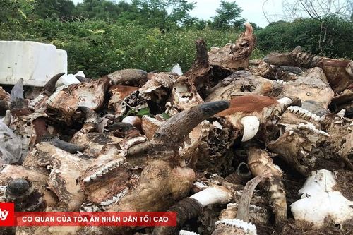 Dân kêu cứu vì ô nhiễm, chính quyền ra tay xử lý