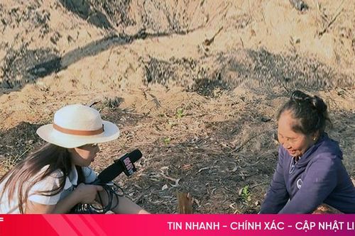 Chủ tịch UBND tỉnh chỉ đạo chấn chỉnh quản lý, bảo vệ rừng sau phản ánh của Báo Hà Tĩnh
