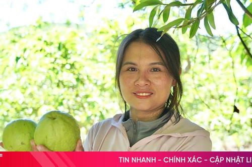 Nghị quyết 57 - đòn bẩy chuyển đổi số ngành nông nghiệp