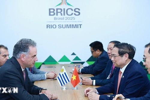 Uruguay luôn coi trọng và mong muốn phát triển quan hệ với Việt Nam