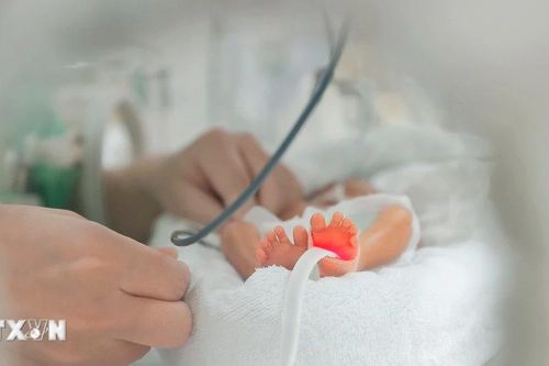 Cận cảnh các 'từ mẫu áo trắng' chăm sóc, điều trị và nuôi dưỡng các bé sinh non