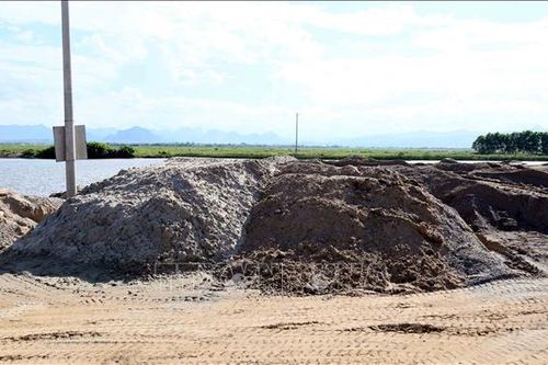 Quảng Trị mở đợt cao điểm xử lý nạn khai thác cát trái phép