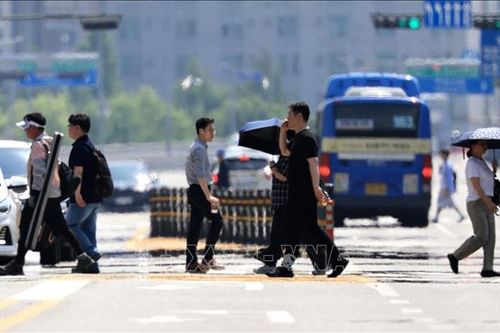 Seoul ghi nhận mức nhiệt đầu tháng 7 cao nhất trong gần 120 năm qua