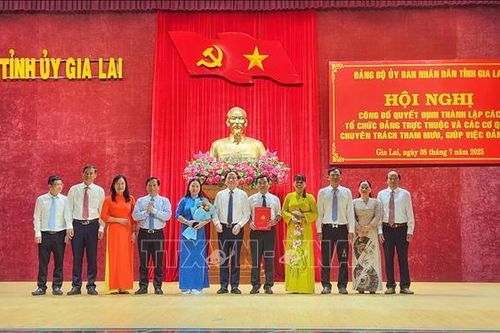 Công bố quyết định thành lập các tổ chức cơ sở đảng trực thuộc Đảng bộ UBND tỉnh Gia Lai