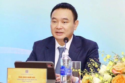 PJICO kinh doanh ra sao trước khi hai cựu Tổng giám đốc Đào Nam Hải và Nguyễn Thị Hương Giang bị bắt?