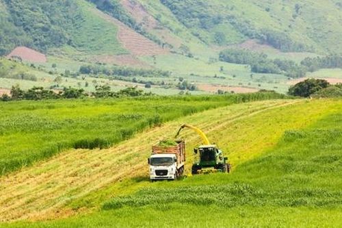 Quảng Ninh: Một nhà đầu tư đề xuất dự án 5 tỷ USD tại KCN Hải Hà