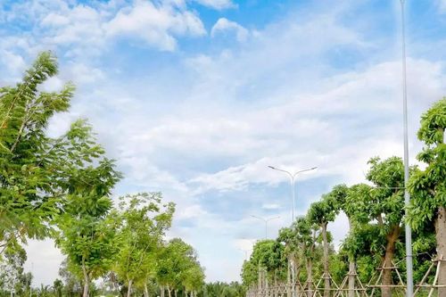 TPHCM: Nguồn thu từ đất đạt hơn 65.000 tỷ đồng sau nửa năm