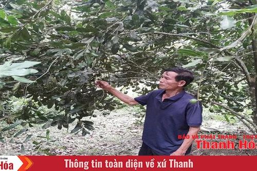 Đưa cây xứ người lên đất dốc