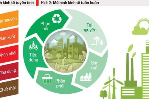 Kinh tế tuần hoàn sẽ được ưu tiên triển khai ở 10 lĩnh vực trọng điểm tại Huế