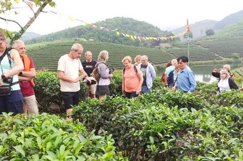 Du lịch Nghệ An thu về hơn 7.300 tỷ đồng