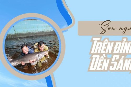 'Sơn ngư' trên đỉnh Dền Sáng