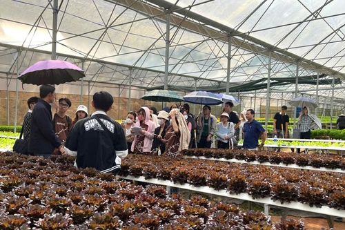 Giải pháp để ngành nông nghiệp tăng trưởng đạt kế hoạch